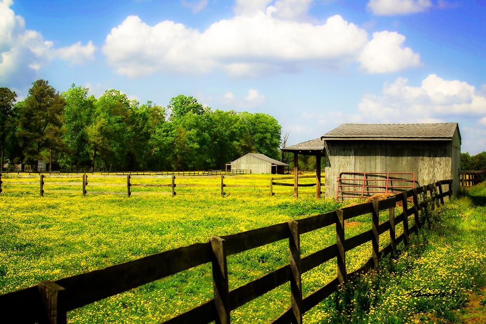 Wall Art Painting id:364761, Name: Spring on the Ranch, Artist: Hausenflock, Alan