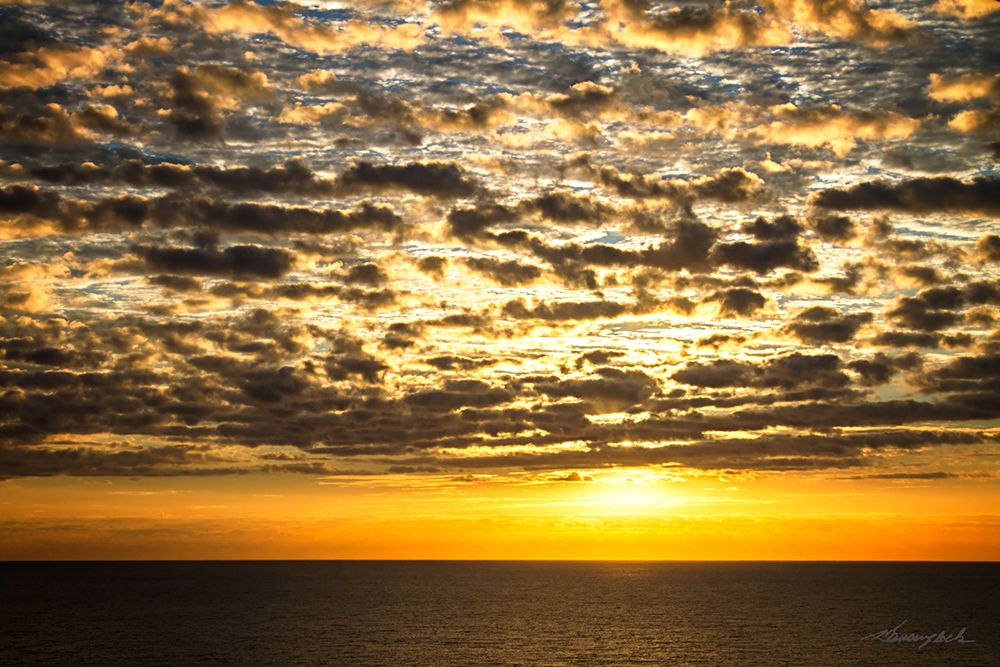 Art Print: Golden Sunrise