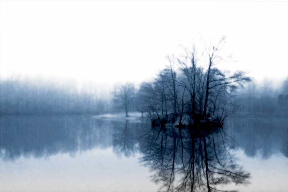 Wall art: Fog on the Lake IV, by Hausenflock, Alan