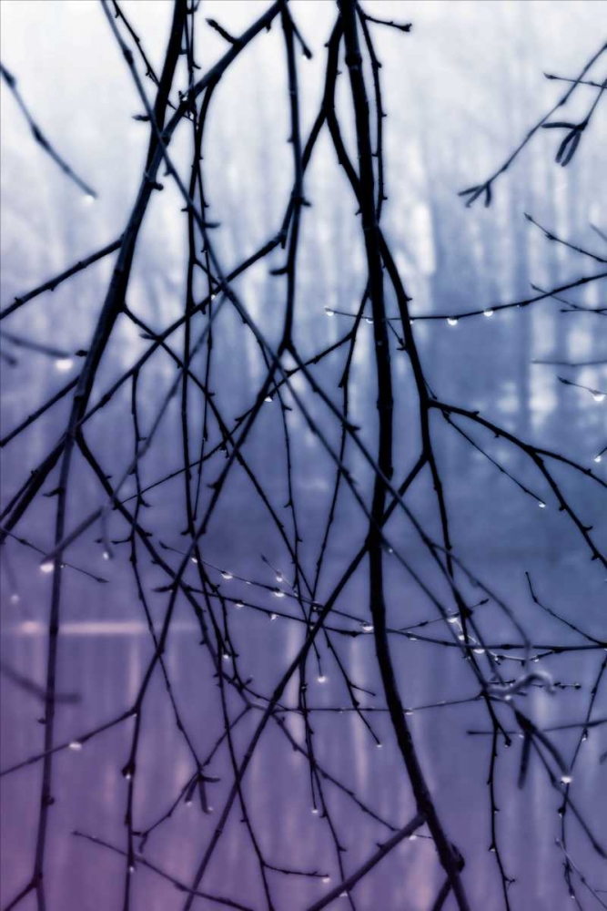 Wall art: Droplets II, by Hausenflock, Alan