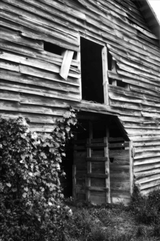 Wall art: Falling Down, by Hausenflock, Alan