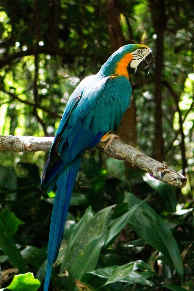 Similar wall art painting: 914