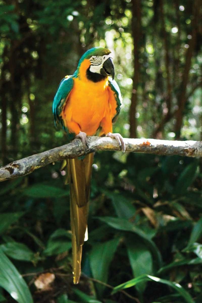 Similar wall art painting: 915