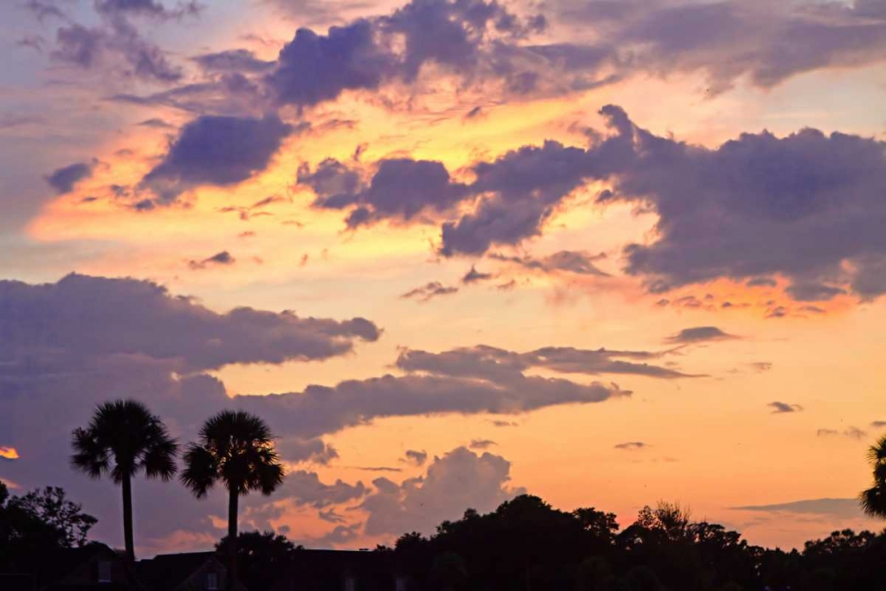 Wall art: San Marcos Sunset III, by Hausenflock, Alan