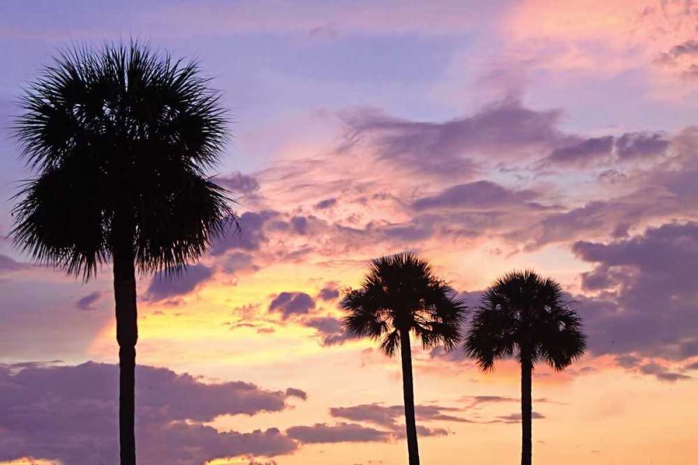 Wall art: San Marcos Sunset IV, by Hausenflock, Alan