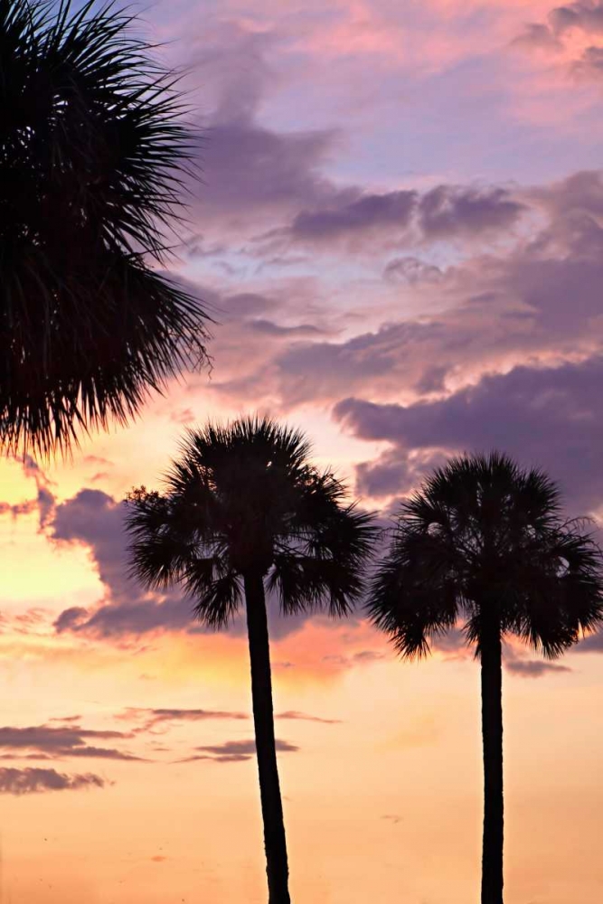 Wall art: San Marcos Sunset V, by Hausenflock, Alan