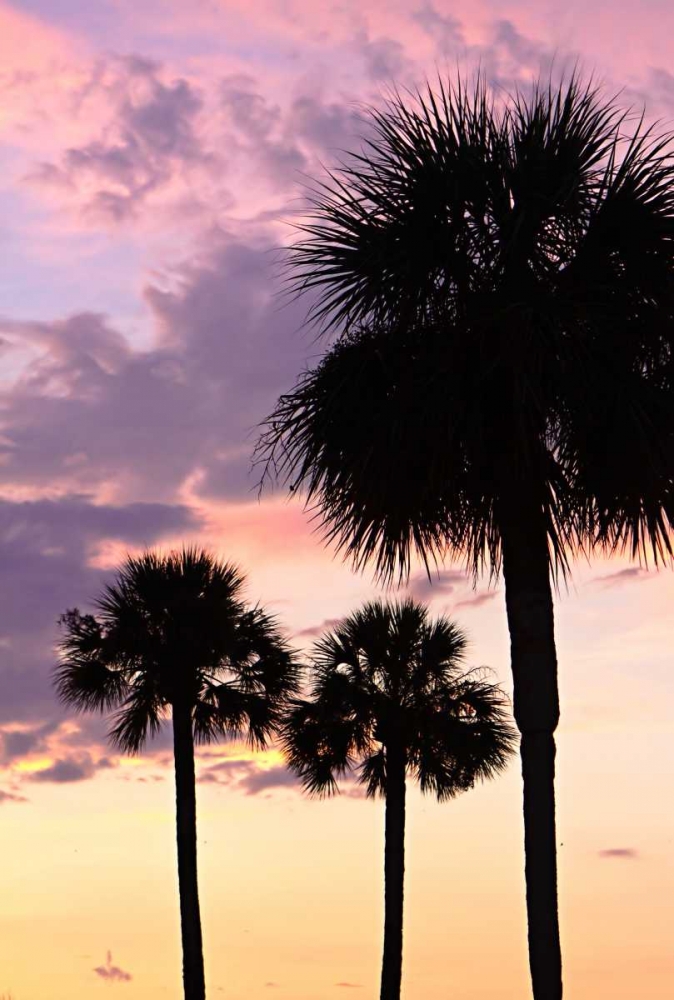 Wall art: San Marcos Sunset VI, by Hausenflock, Alan