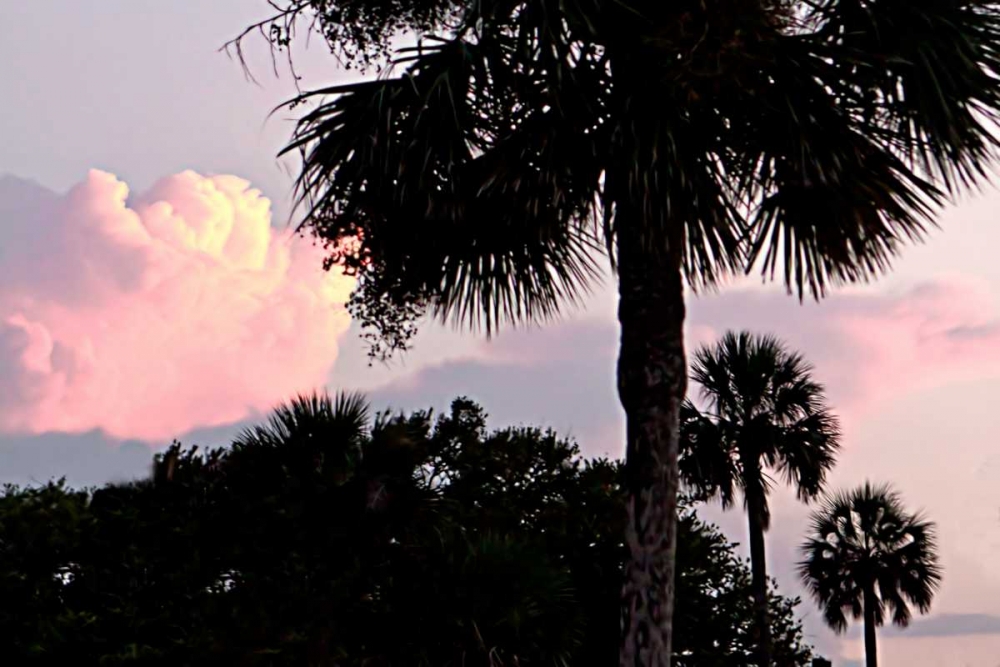 Wall art: Days End II, by Hausenflock, Alan