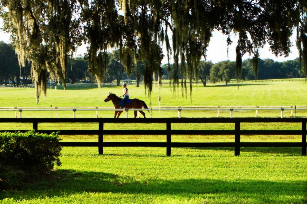 Art Print: Training Day II