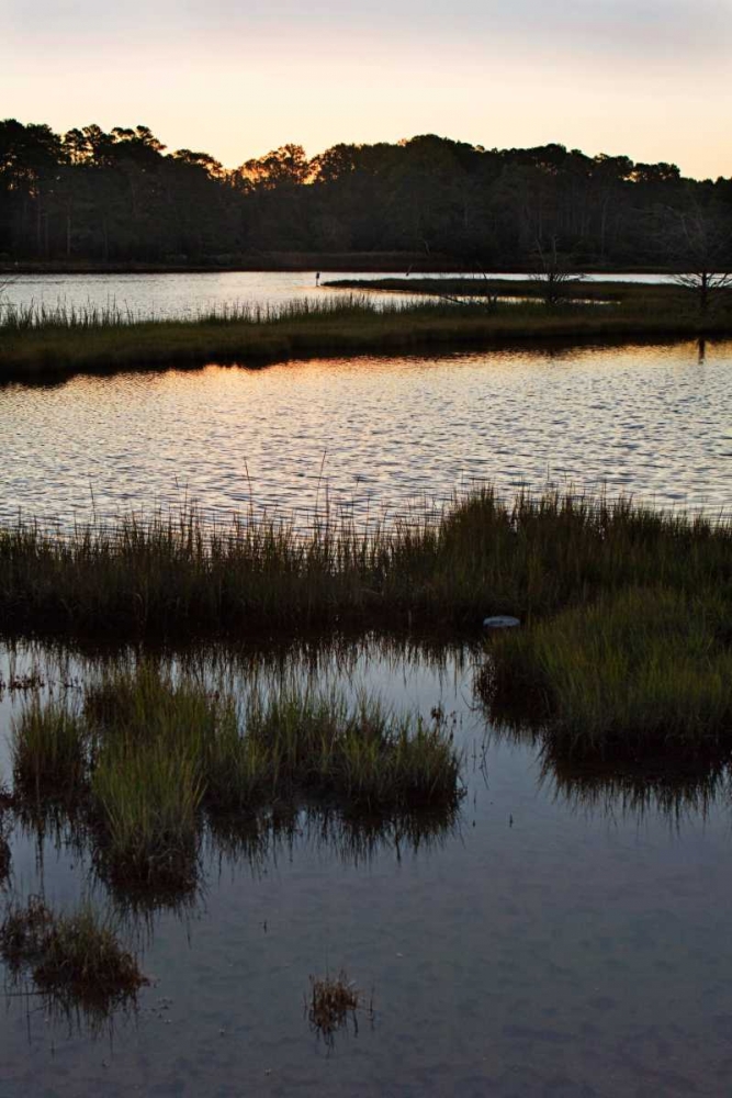 Art Print: Captains Cove I