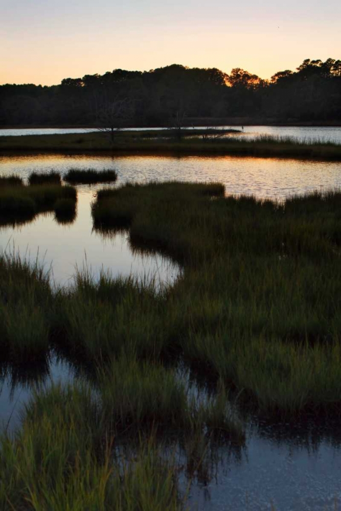 Art Print: Captains Cove II