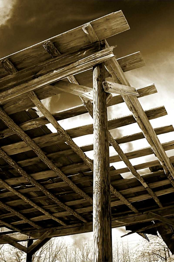 Wall Art Painting id:1025, Name: Falling Down I, Artist: Hausenflock, Alan