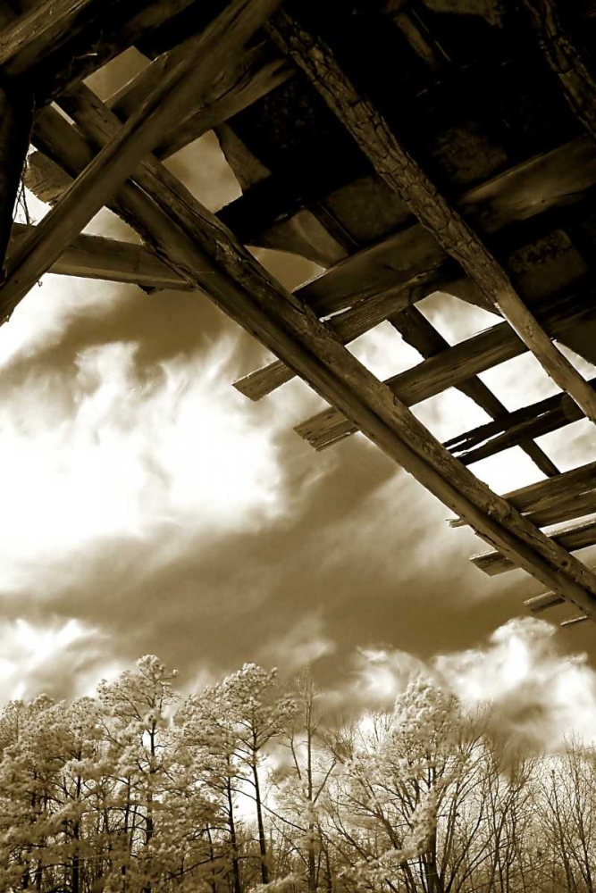 Wall Art Painting id:1026, Name: Falling Down II, Artist: Hausenflock, Alan