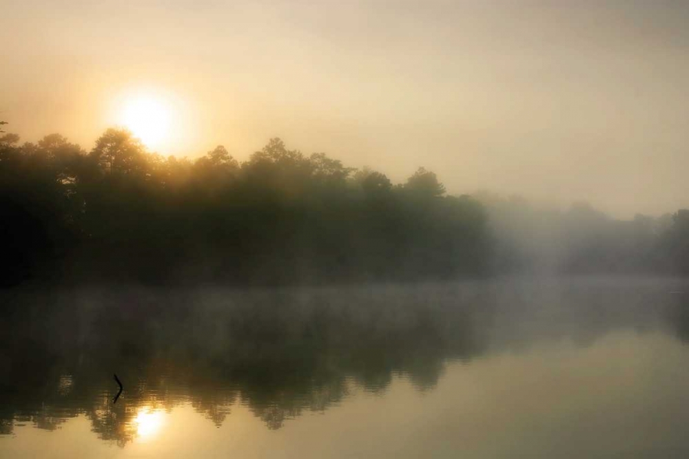 Art Print: Fog on the Mattaponi III