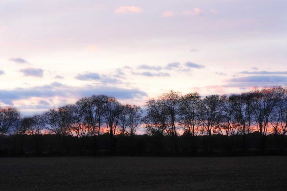 Wall Art Painting id:1250, Name: Winter Sunset I, Artist: Hausenflock, Alan