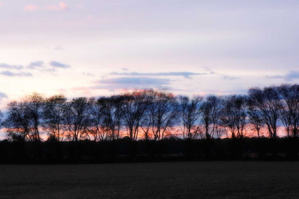 Wall Art Painting id:1251, Name: Winter Sunset II, Artist: Hausenflock, Alan