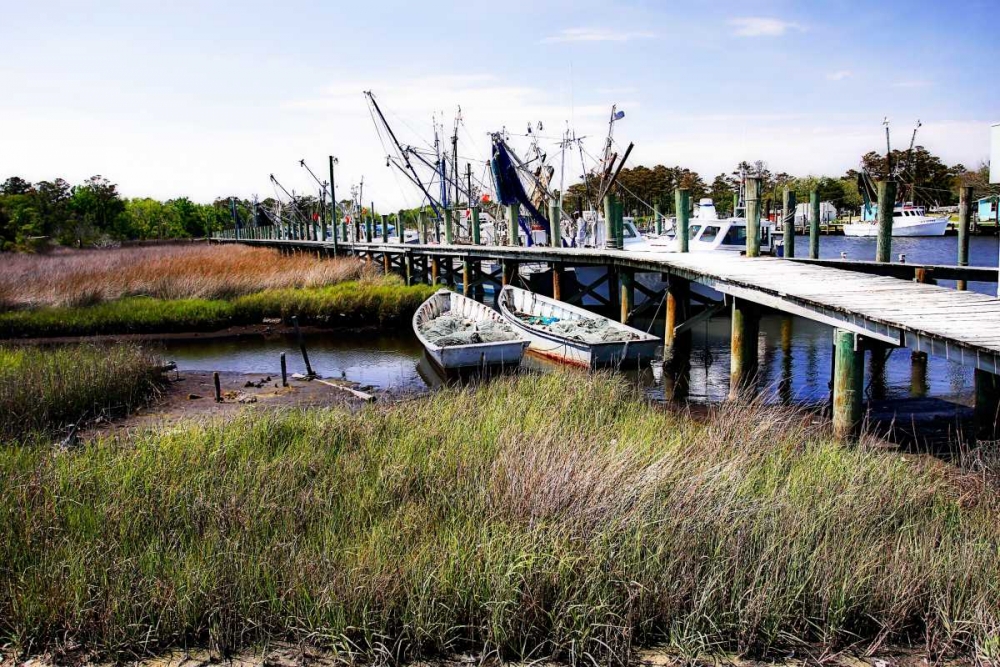 Wall Art Painting id:1257, Name: Marsh Harbor II, Artist: Hausenflock, Alan