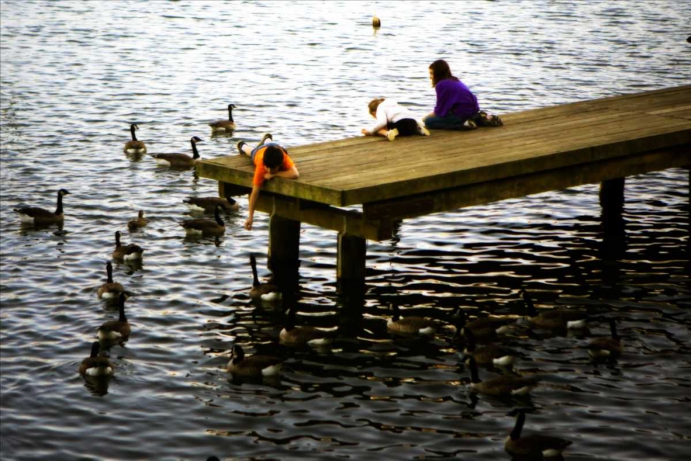 Art Print: Feeding the Geese III
