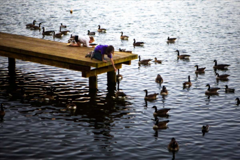 Art Print: Feeding the Geese IV