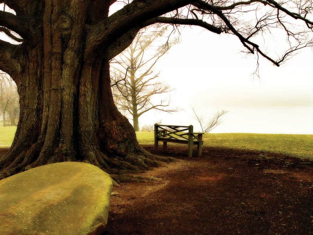 Art Print: Fog on the James I