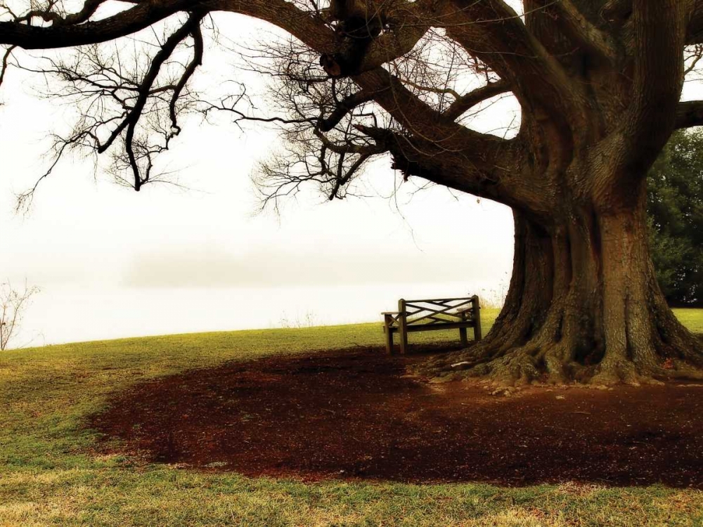 Art Print: Fog on the James II