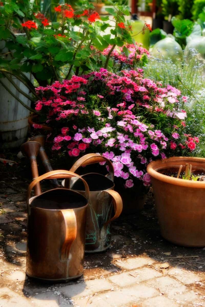 Wall Art Painting id:1323, Name: The Garden Nook IV, Artist: Hausenflock, Alan