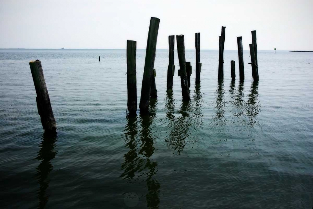 Wall Art Painting id:1397, Name: Pilings II, Artist: Hausenflock, Alan