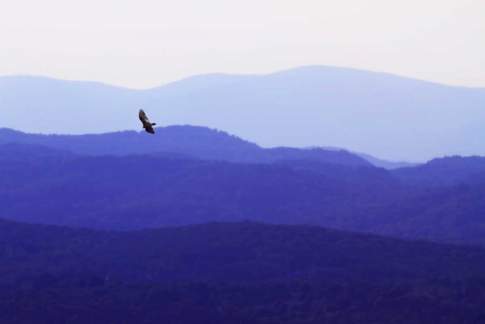 Similar wall art painting: 243