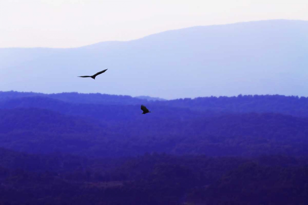 Wall Art Painting id:244, Name: Blue Ridge III, Artist: Hausenflock, Alan