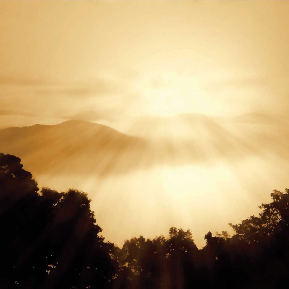 Wall Art Painting id:251, Name: Distant Mountains Sq I, Artist: Hausenflock, Alan