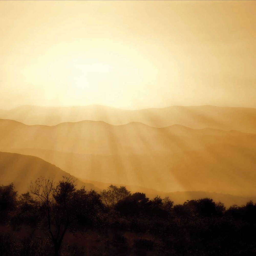 Wall Art Painting id:252, Name: Distant Mountains Sq II, Artist: Hausenflock, Alan