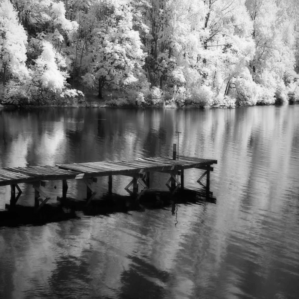 Wall Art Painting id:253, Name: Mint Springs Lake Square III, Artist: Hausenflock, Alan