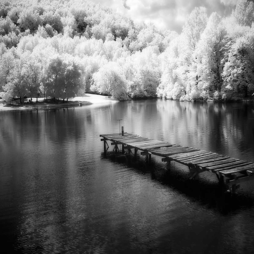 Wall Art Painting id:254, Name: Mint Springs Lake Square IV, Artist: Hausenflock, Alan