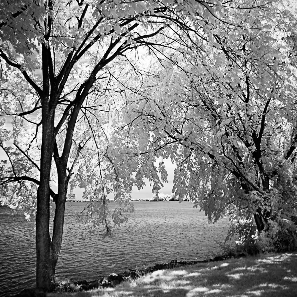 Wall Art Painting id:255, Name: Hopewell Shores Square I, Artist: Hausenflock, Alan