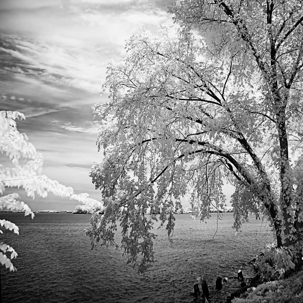 Wall Art Painting id:256, Name: Hopewell Shores Square II, Artist: Hausenflock, Alan