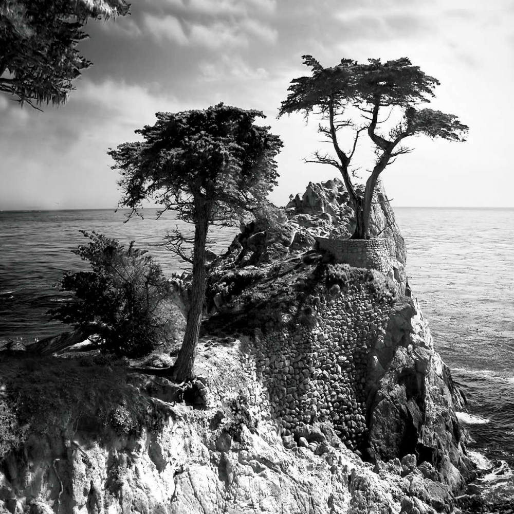 Wall Art Painting id:261, Name: Ocean Cliff Square I, Artist: Hausenflock, Alan