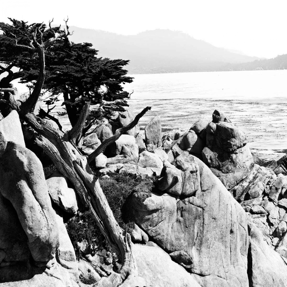 Wall Art Painting id:262, Name: Ocean Cliff Square II, Artist: Hausenflock, Alan