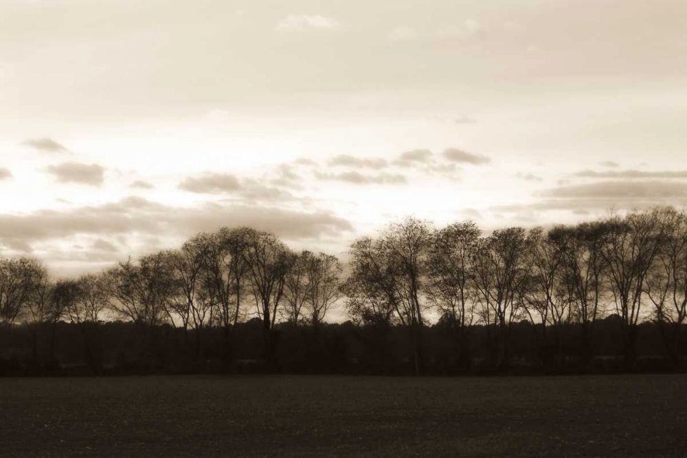 Wall Art Painting id:265, Name: Winter Sunset I, Artist: Hausenflock, Alan