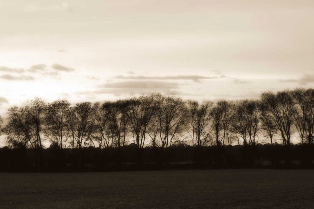 Wall Art Painting id:266, Name: Winter Sunset II, Artist: Hausenflock, Alan