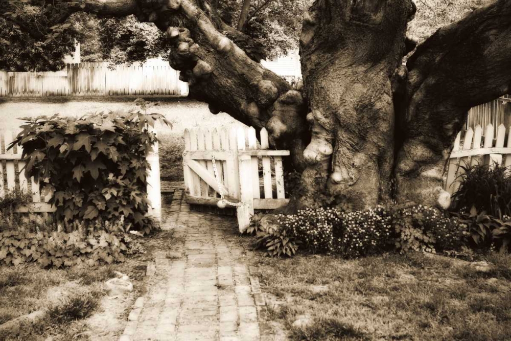 Wall Art Painting id:267, Name: Grandfather Tree I, Artist: Hausenflock, Alan