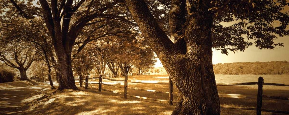 Wall Art Painting id:486, Name: Summer Stroll Panel II, Artist: Hausenflock, Alan