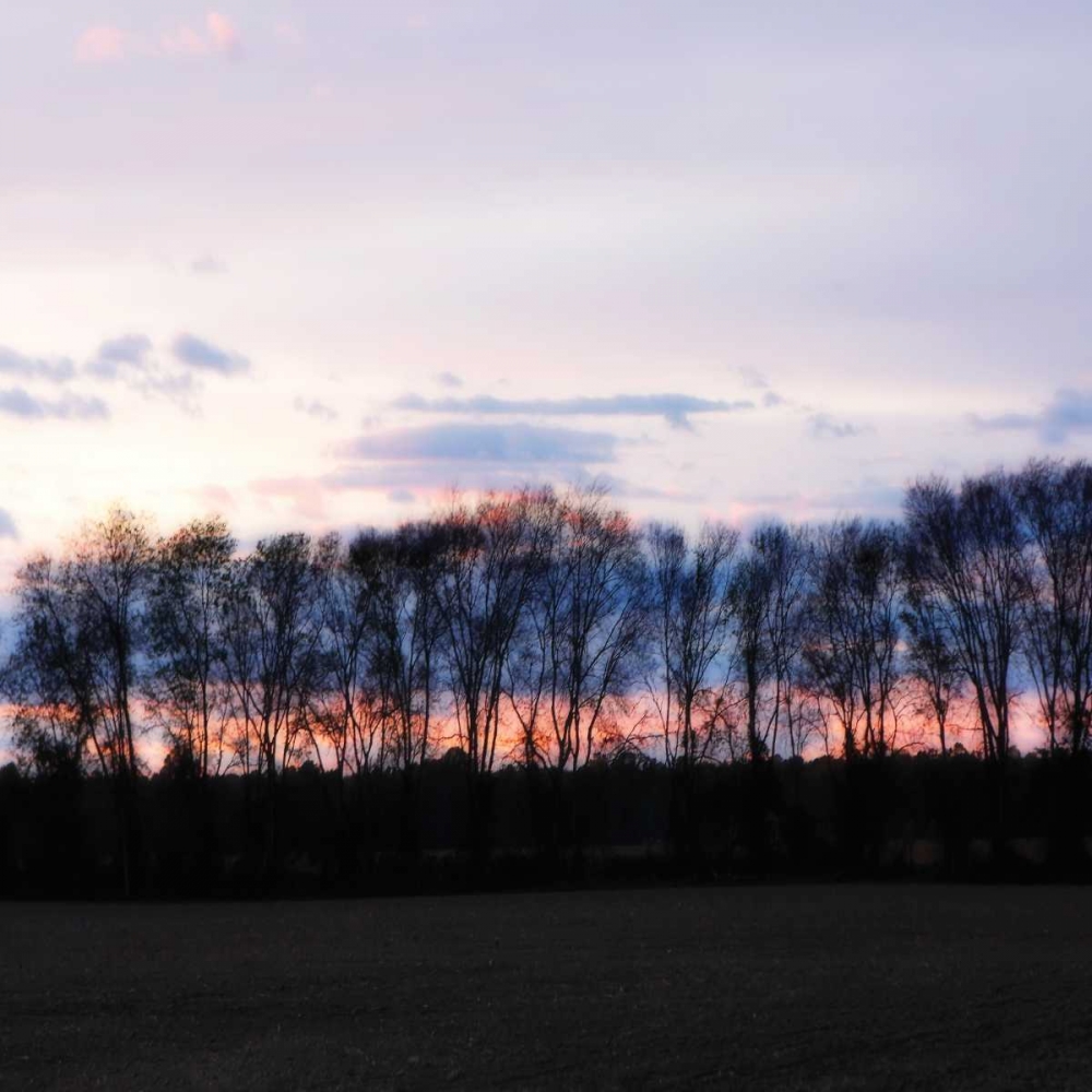 Wall Art Painting id:491, Name: Winter Sunset Square II, Artist: Hausenflock, Alan