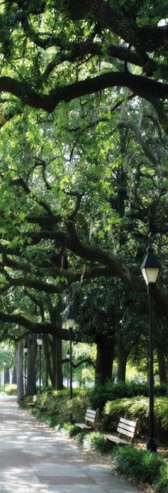 Similar wall art painting: 492