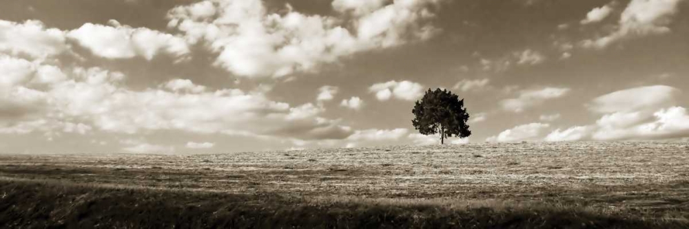 Wall art: Cloudy Skies Panel I, by Hausenflock, Alan