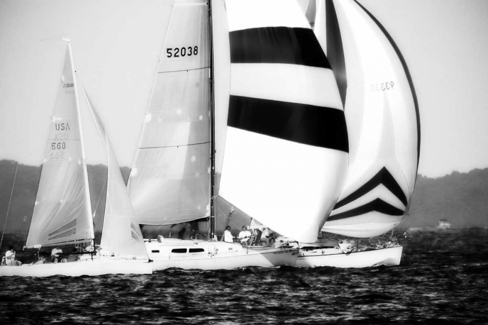 Wall Art Painting id:516, Name: Race on the Chesapeake I, Artist: Hausenflock, Alan