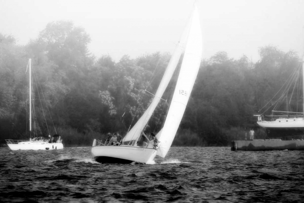 Wall Art Painting id:520, Name: In the Channel I, Artist: Hausenflock, Alan