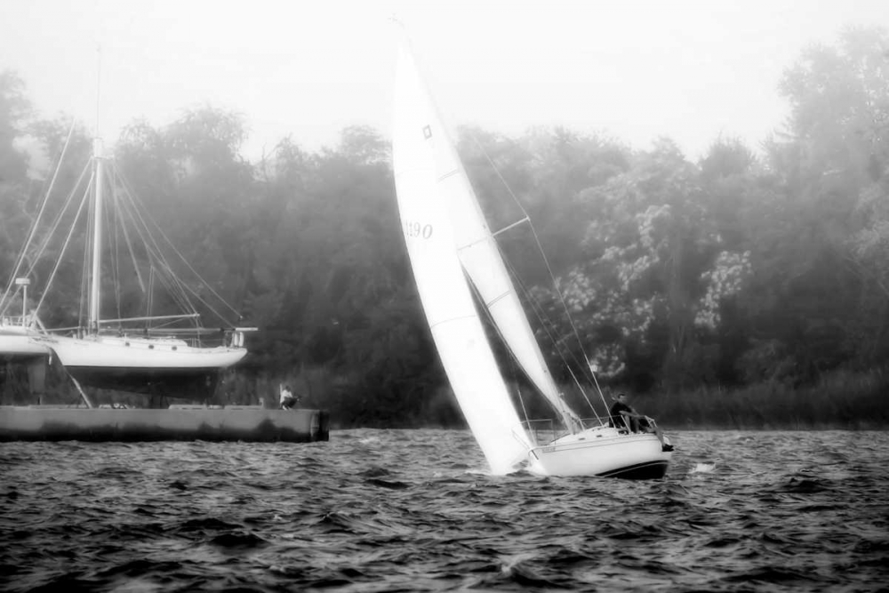 Wall Art Painting id:521, Name: In the Channel II, Artist: Hausenflock, Alan