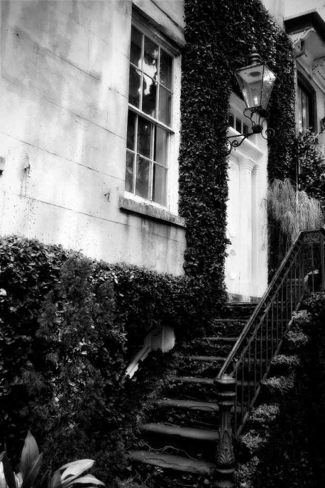 Wall Art Painting id:525, Name: Savannah Style II, Artist: Hausenflock, Alan