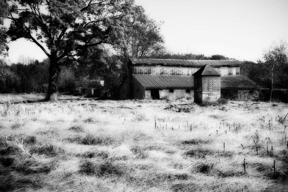 Art Print: Fallow Fields I