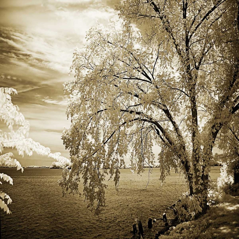 Wall Art Painting id:6478, Name: Hopewell Shores II, Artist: Hausenflock, Alan